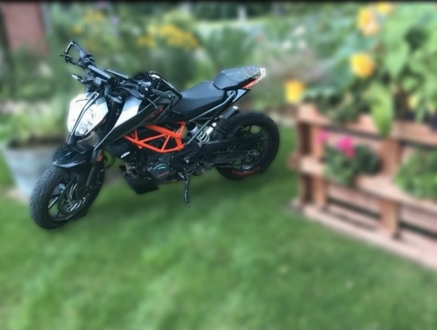 2021 KTM KTM 125 Duke - 19 000 km - Fotka 1