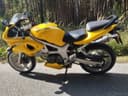 2001 Suzuki Suzuki SV650 - 27 000 km - Náhled 1