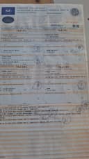 2003 Suzuki Suzuki DL 1000 V-Strom - 57 600 km - Náhled 1