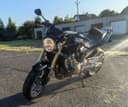 2006 Honda Honda CB 600 F Hornet - 33 003 km - Náhled 4