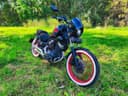 1993 Yamaha Virago - 63 390 km - Náhled 2