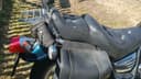 1996 Yamaha Virago - 20 000 km - Náhled 1