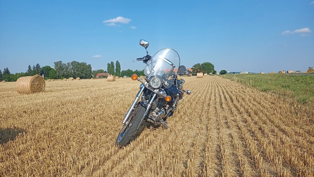 2002 Yamaha Virago - 22 436 km - Fotka 1