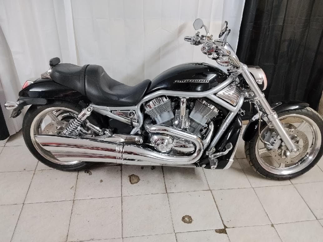 2004 Harley-Davidson V-Rod - 11 000 km - Fotka 1