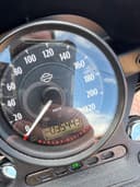 2019 Harley-Davidson Iron - 35 500 km - Náhled 5
