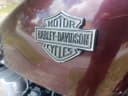 2017 Harley-Davidson Harley-Davidson Sportster 1200 - 17 000 km - Náhled 7