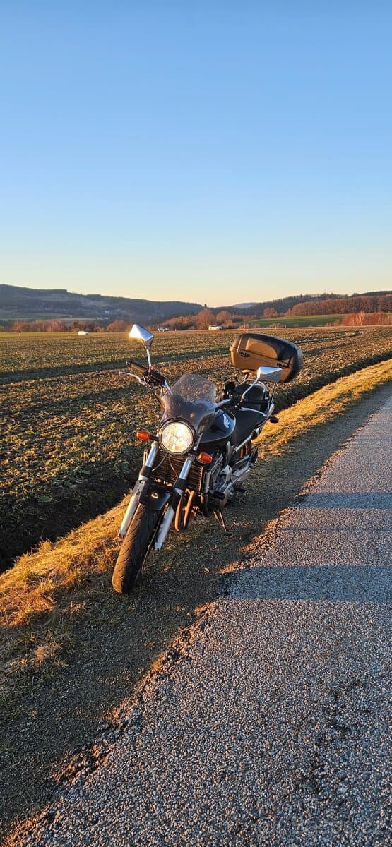 2003 Honda Honda CB 900 F Hornet - 33 650 km - Fotka 1