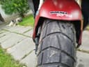 2024 Honda Honda ADV 350 - 25 400 km - Náhled 16
