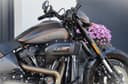 2019 Harley-Davidson Harley-Davidson Softail - 2 500 km - Náhled 5