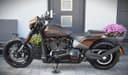 2019 Harley-Davidson Harley-Davidson Softail - 2 500 km - Náhled 3