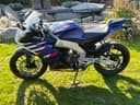 2024 Suzuki RS4 125 - 57 km - Náhled 15