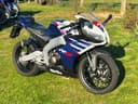 2024 Suzuki RS4 125 - 57 km - Náhled 14