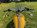 2009 Harley-Davidson Harley-Davidson Sportster 1200 - 20 000 km - Náhled 3