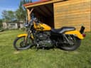 2009 Harley-Davidson Harley-Davidson Sportster 1200 - 20 000 km - Náhled 2