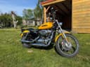 2009 Harley-Davidson Harley-Davidson Sportster 1200 - 20 000 km - Náhled 1