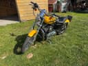 2009 Harley-Davidson Harley-Davidson Sportster 1200 - 20 000 km - Náhled 7