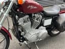 2001 Harley-Davidson Harley-Davidson Sportster 883 - 22 000 km - Náhled 7