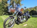 1999 Harley-Davidson Dyna - 52 000 km - Náhled 5