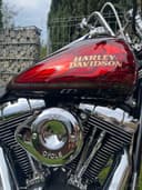 2001 Harley-Davidson Softail - 2 463 km - Náhled 4