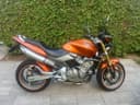 2005 Honda Honda CB 600 F Hornet - 12 500 km - Náhled 2