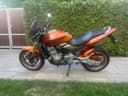 2005 Honda Honda CB 600 F Hornet - 12 500 km - Náhled 1