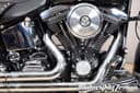 1996 Harley-Davidson Heritage - 63 183 km - Náhled 4