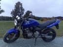 2002 Honda Honda CB 600 F Hornet - 39 600 km - Náhled 1