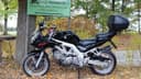 2006 Suzuki Suzuki SV650 - 43 000 km - Náhled 1