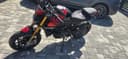 2025 Ducati Ducati Monster - 10 560 km - Náhled 3