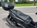 2025 Honda Honda Forza 125 - 5 341 km - Náhled 3