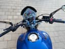 2007 Honda Honda CB 600 F Hornet - 35 713 km - Náhled 15