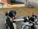 2018 BMW BMW R nineT - 14 469 km - Náhled 8
