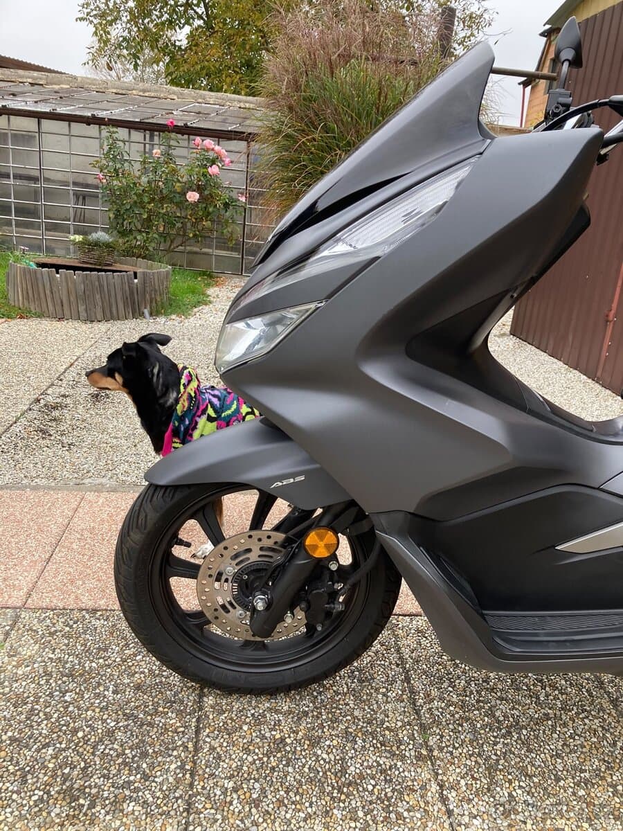 2018 Honda Honda PCX 125 - 11 200 km - Fotka 1
