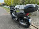 2021 Honda Honda Forza 300 - 6 000 km - Náhled 2