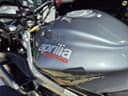2024 Aprilia Aprilia Tuono 660 - 3 365 km - Náhled 6