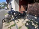 2017 Indian Scout - 16 600 km - Náhled 2