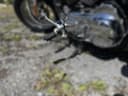 2011 Harley-Davidson Harley-Davidson Sportster 1200 - 18 017 km - Náhled 5