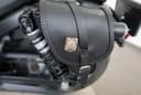 2023 Harley-Davidson Harley-Davidson Sportster 1200 - 5 755 km - Náhled 12