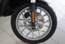 2023 Harley-Davidson Harley-Davidson Sportster 1200 - 5 755 km - Náhled 15