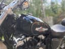 2025 Harley-Davidson Harley-Davidson Sportster 1200 - 26 800 km - Náhled 7