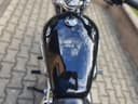 2025 Harley-Davidson Harley-Davidson Sportster 1200 - 26 800 km - Náhled 18