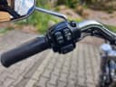 2025 Harley-Davidson Harley-Davidson Sportster 1200 - 26 800 km - Náhled 19