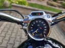 2025 Harley-Davidson Harley-Davidson Sportster 1200 - 26 800 km - Náhled 21