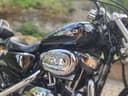 2025 Harley-Davidson Harley-Davidson Sportster 1200 - 26 800 km - Náhled 33