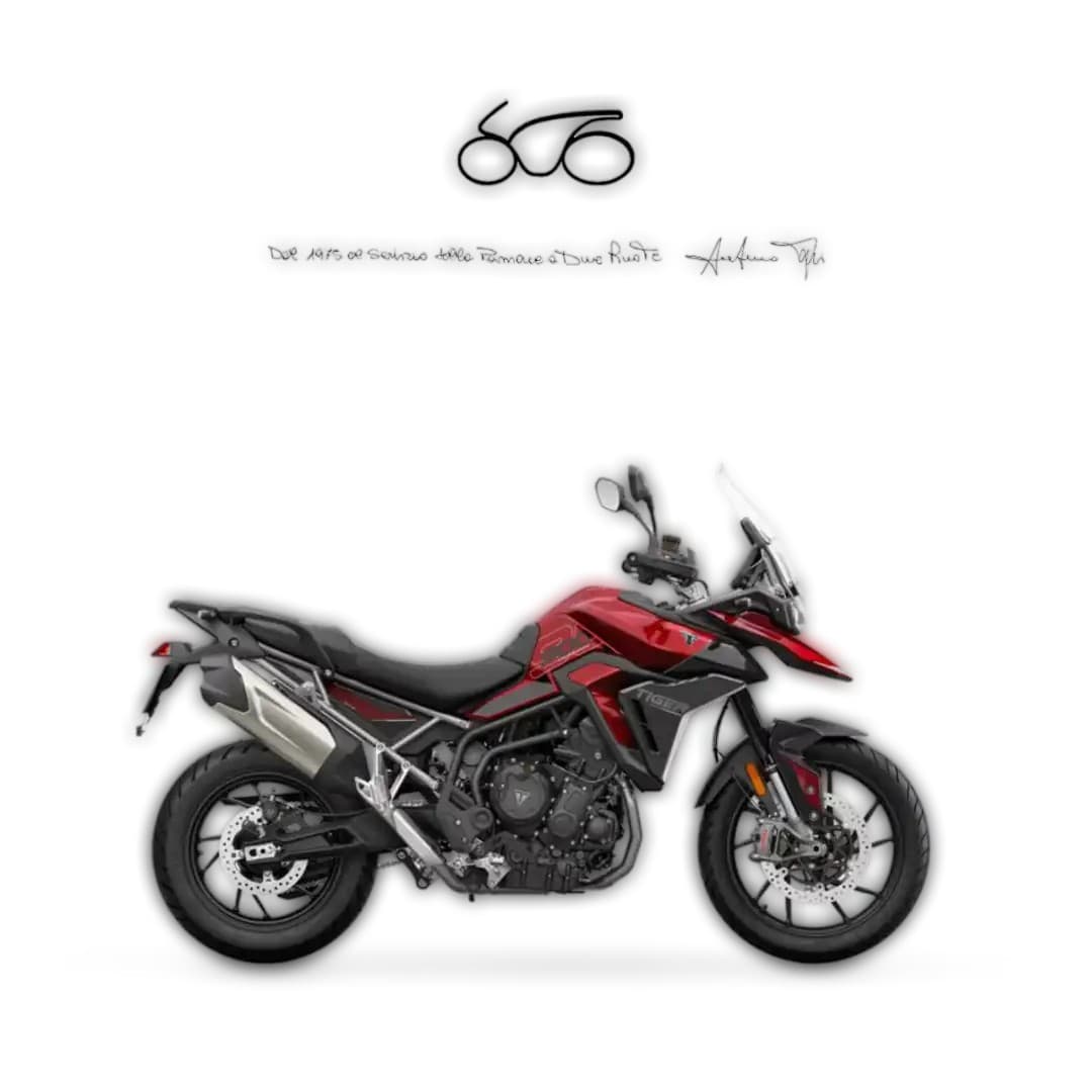 2025 Triumph Triumph Tiger 900 - 900 km - Fotka 1