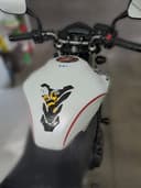 2011 Honda Honda CB 600 F Hornet - 49 000 km - Náhled 6