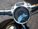 2007 Harley-Davidson Harley-Davidson Sportster 883 - 82 000 km - Náhled 7
