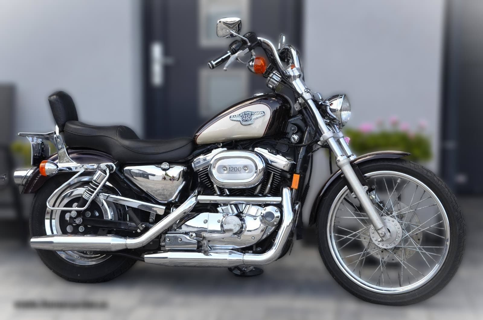 1998 Harley-Davidson Harley-Davidson Sportster 1200 - 16 093 km - Fotka 1